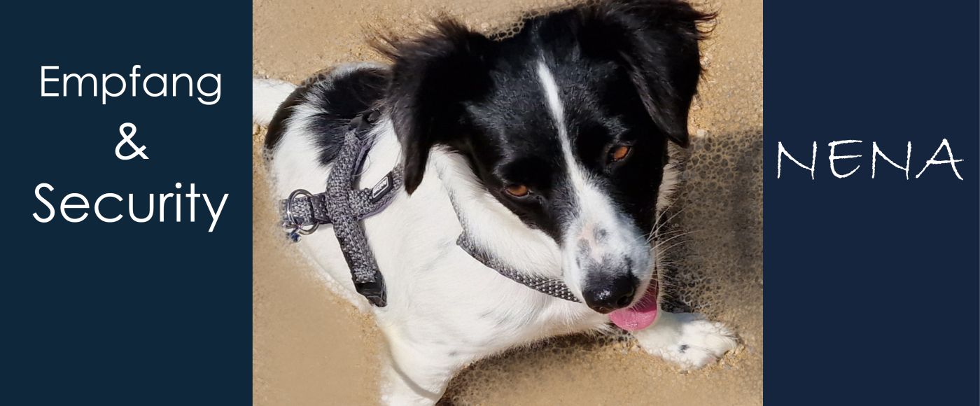 Rinaudo & Kiss Immobilien  Rinaudo & Kiss Immobilien - Traumimmobilie finden - Immobilien - Immobilienmakler - Immobilienbewertung - Hausbewertung - Haus verkaufen - Haus kaufen - Hauskauf - Hausverkauf - Rheinfelden - Fricktal - Aargau - Nordwestschweiz - Schweiz